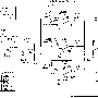 korgrs1.gif